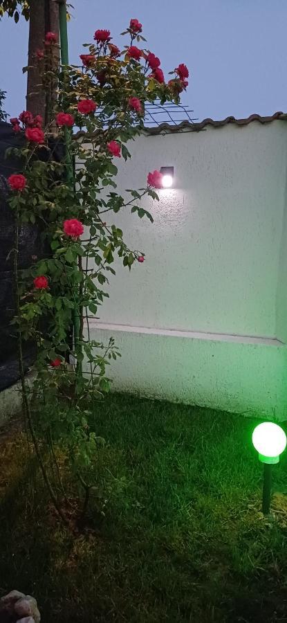 Отель Casa Ella Тузла Экстерьер фото